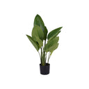 Fluid Home Interiors - Faux Non Flowering Bird of Paradise Indoor Plant - Libra Interiors