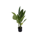 Fluid Home Interiors - Faux Non Flowering Bird of Paradise Indoor Plant - Libra Interiors