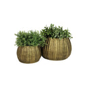 The Hampstead Gold Metal Planters