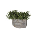 The Seven Sisters Kissme Concrete Planter 60cm