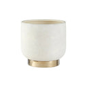 Blanche Ceramic Planters With Gold Finish Base