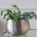 Metallic Gold Metal Round Planter